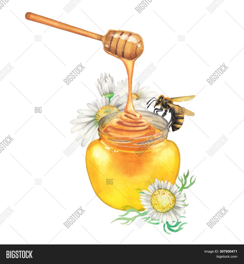 Мед акварель