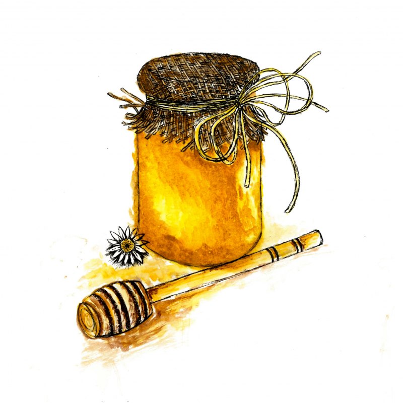 Баночка меда нарисованная