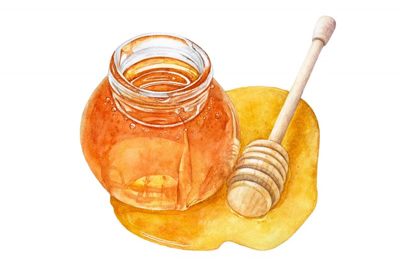 Мед иллюстрация