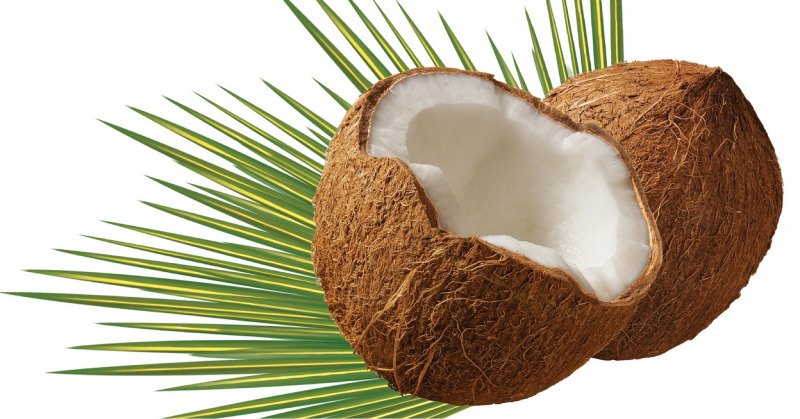 Кокос закрытый