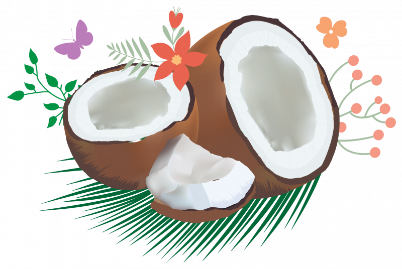 Кокос иконка