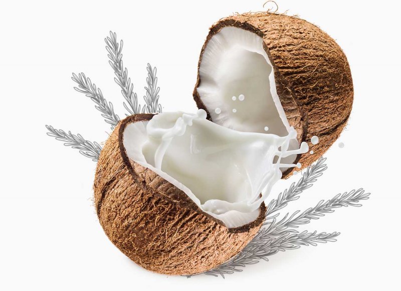 Кокос молочный 1шт