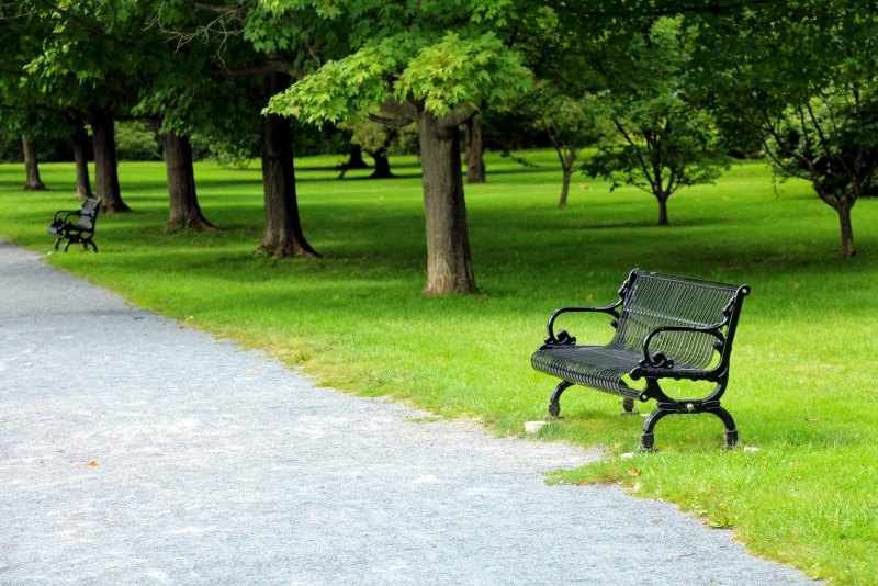 Терлецкий парк лавочки