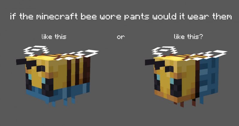 Minecraft Bee meme