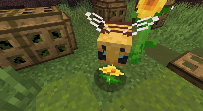 Minecraft Bee girl