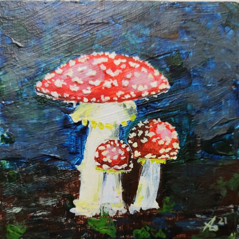 Картина Amanita muscaria
