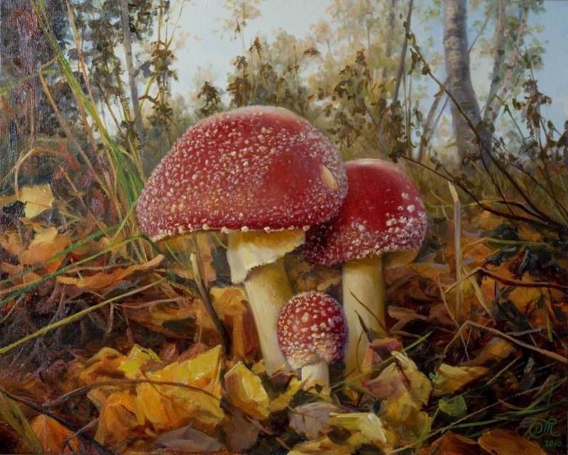 Тихов Дмитрий художник