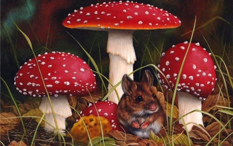 Иван Шишкин мухоморы