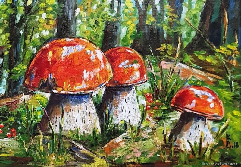 Аманита Мускария психоделика