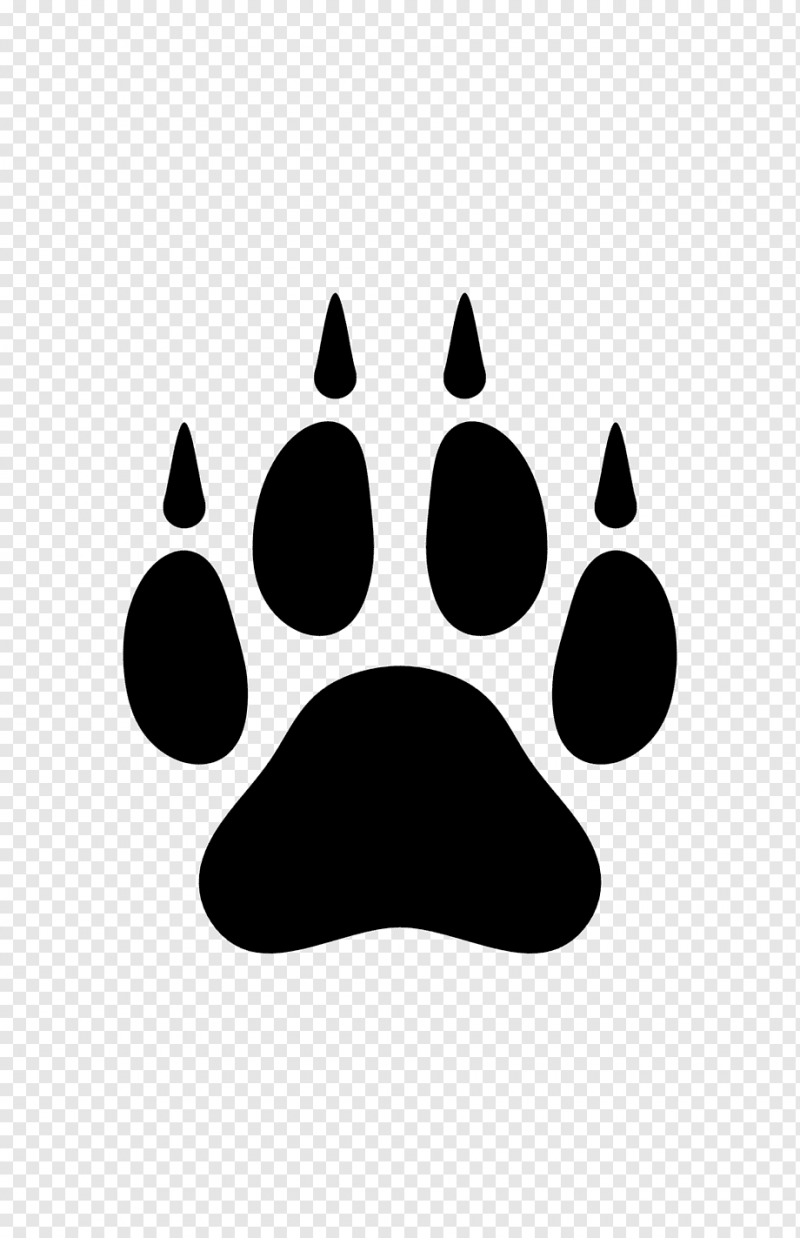 Отпечаток лапы собаки