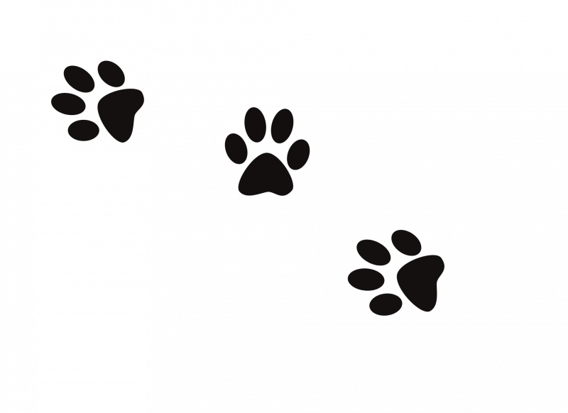 Собачий след