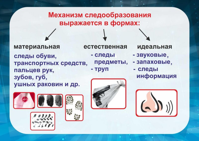 Схема классификации следов в трасологии