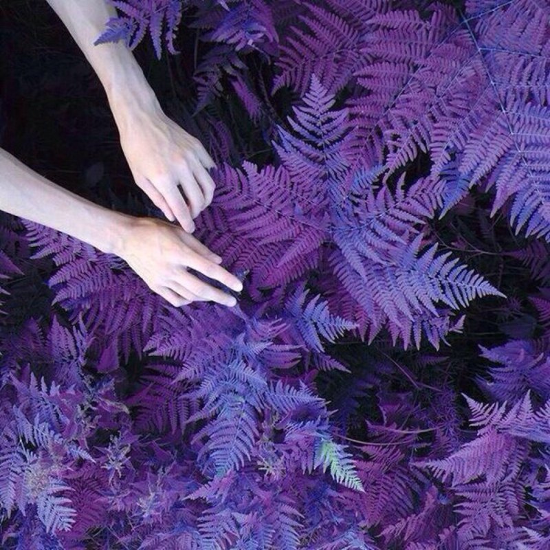 Фиолетовые руки