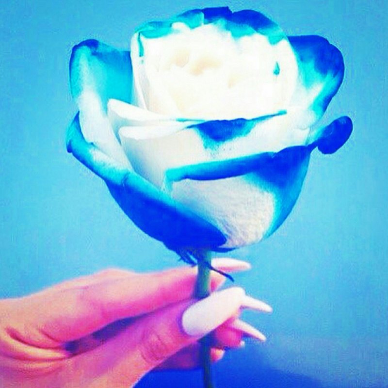 Эстетика синего и белого