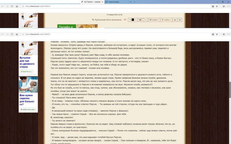 Кот на фикбуке