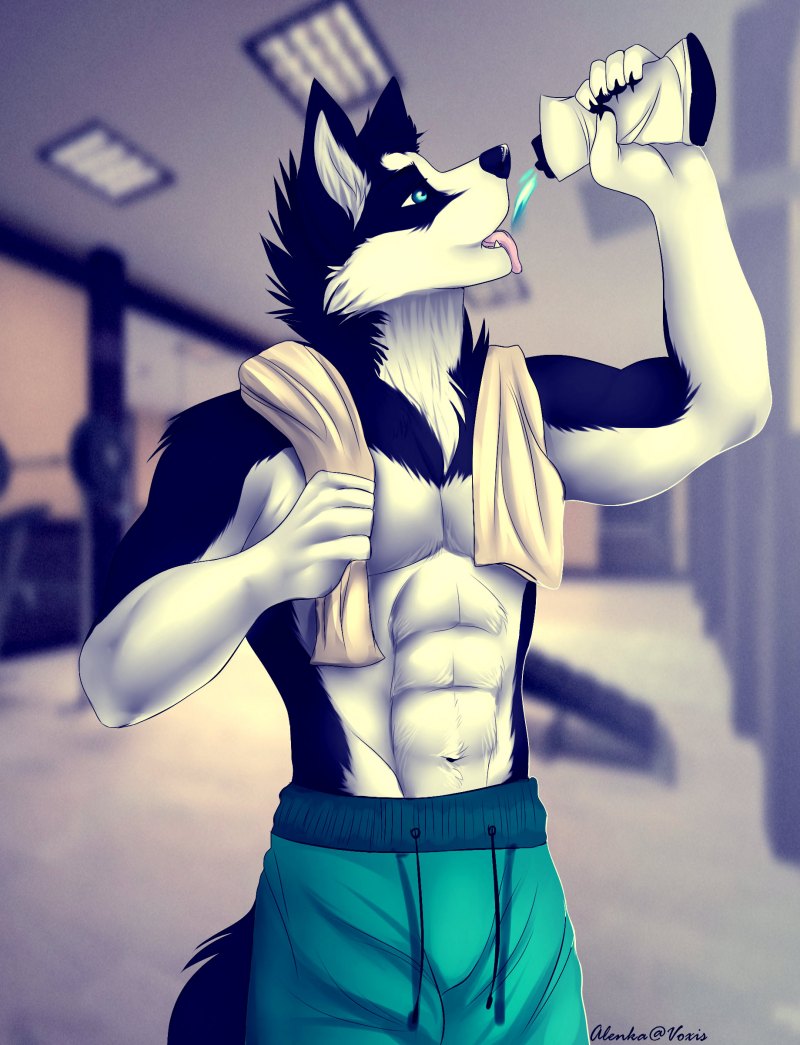 Фурри волки мальчики