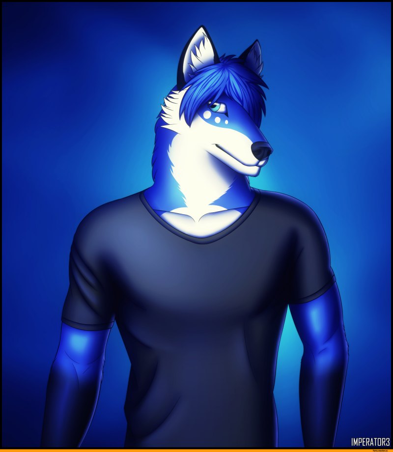 Крутой волк человек