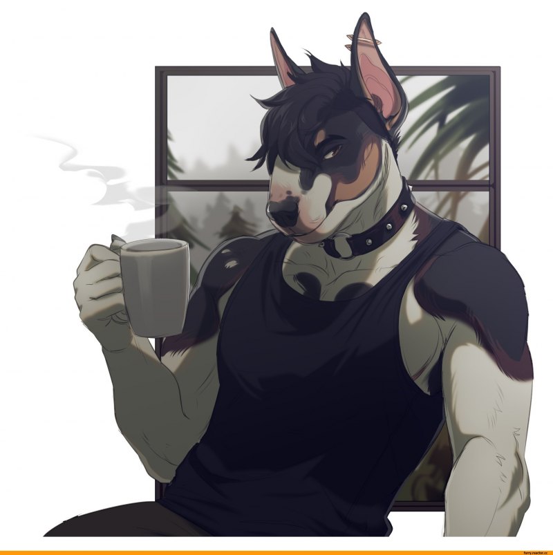 Джейкоб волк фурри