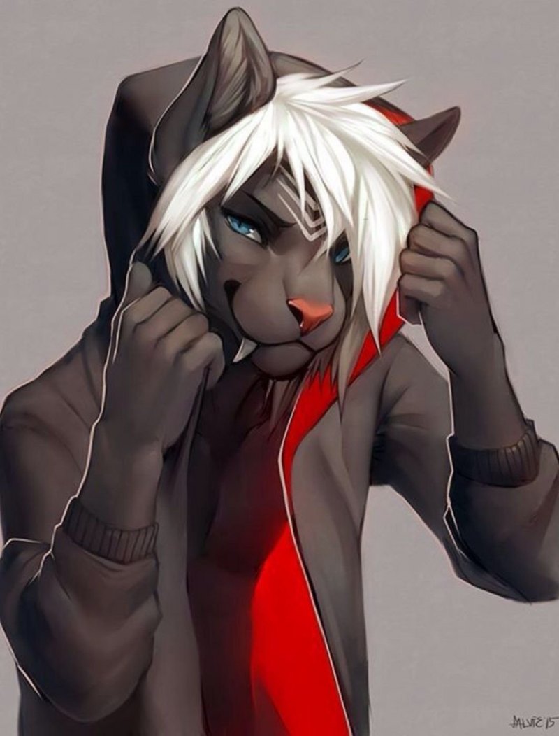 Фурри Антро хаски