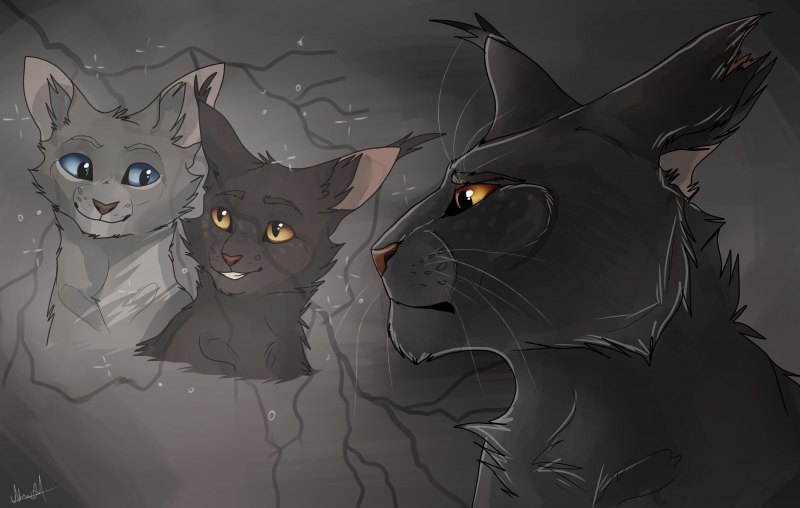 Коты Воители Warriors Cats