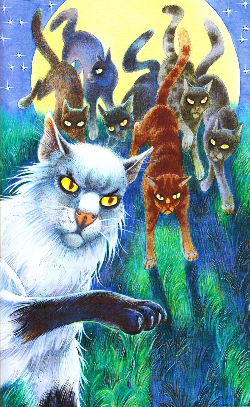 Коты Воители Чернозвёздая