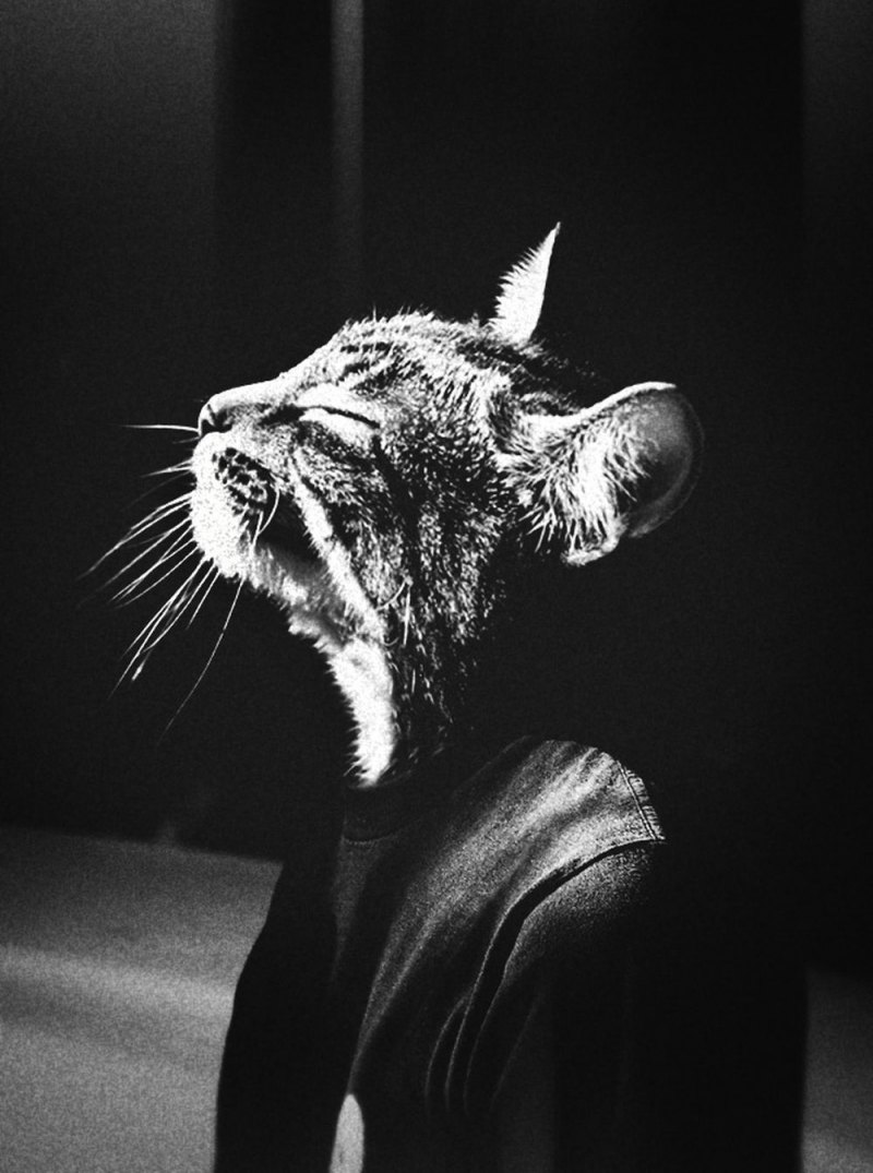 Никита Ерасов