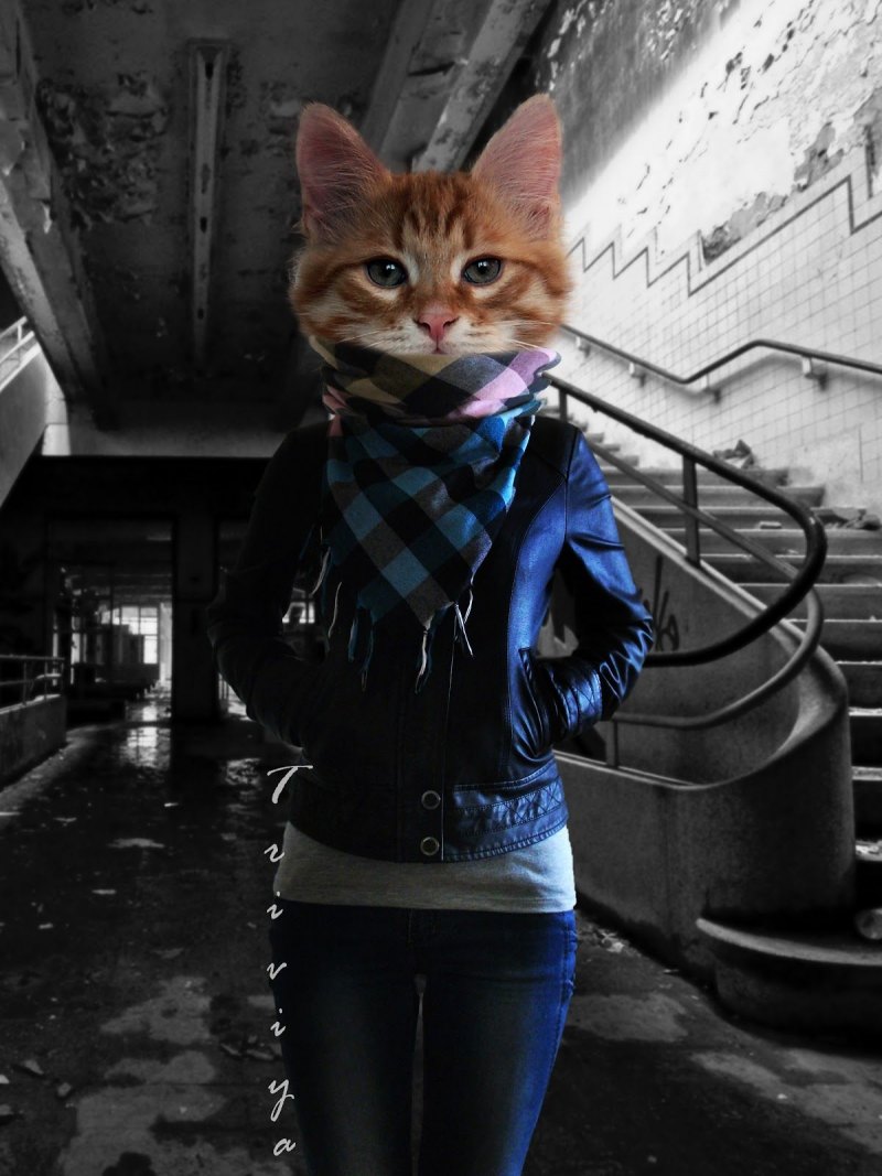 Девушка с кошачьей головой