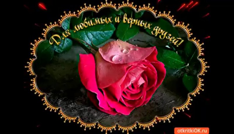 Картинки на рабочий стол розы