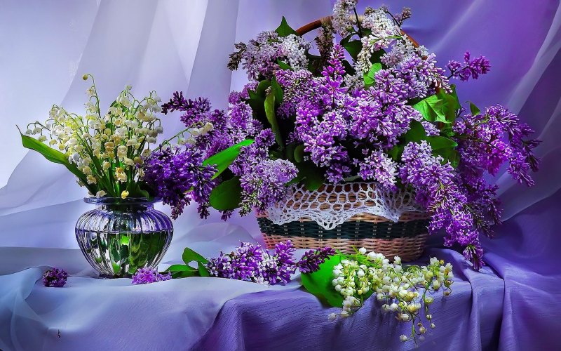 Открытки с сиренью