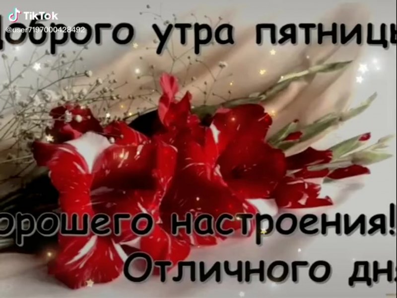 С добрый утром пчтниуа