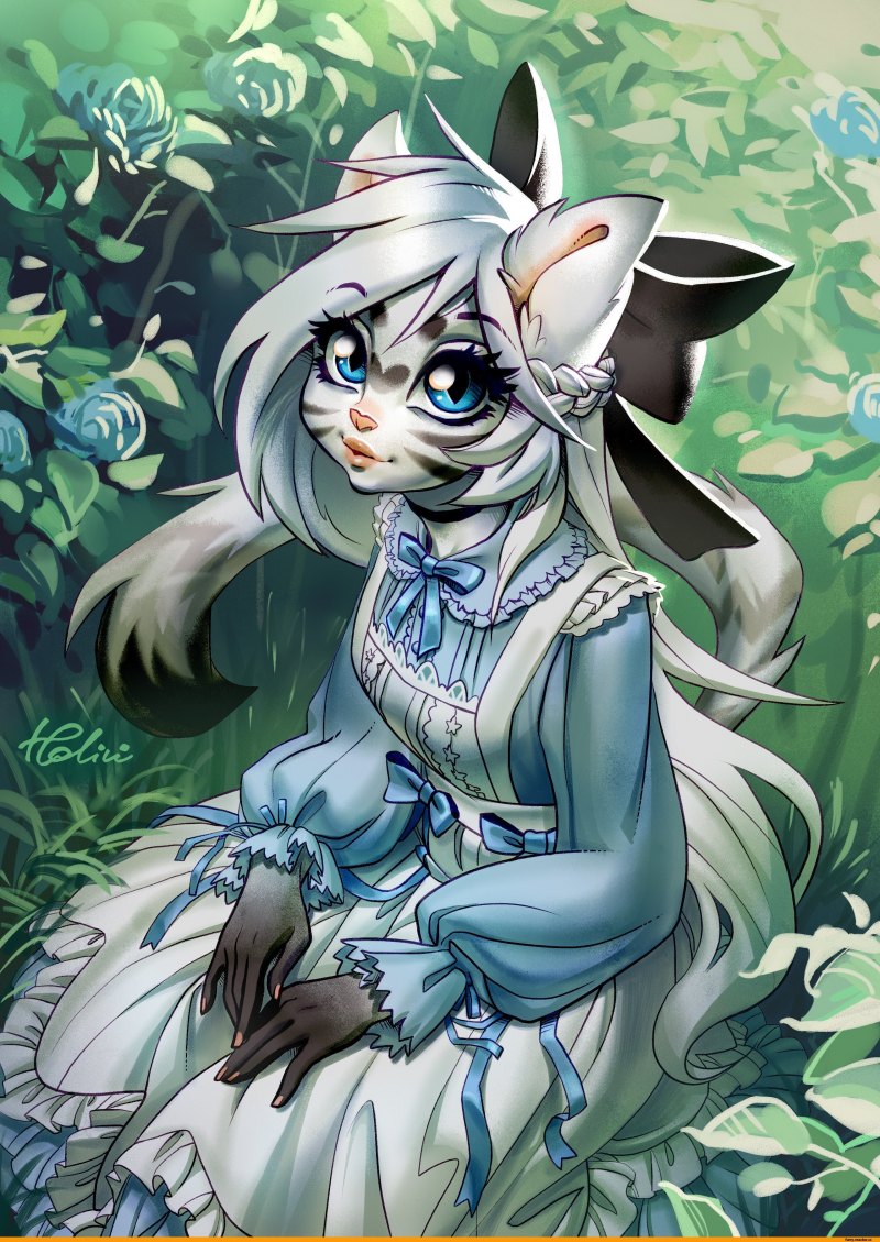 Фурри Кадаф