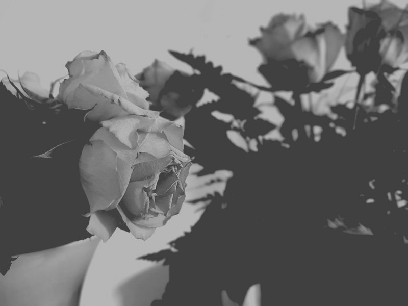 Эстетика чёрного и белого цвета