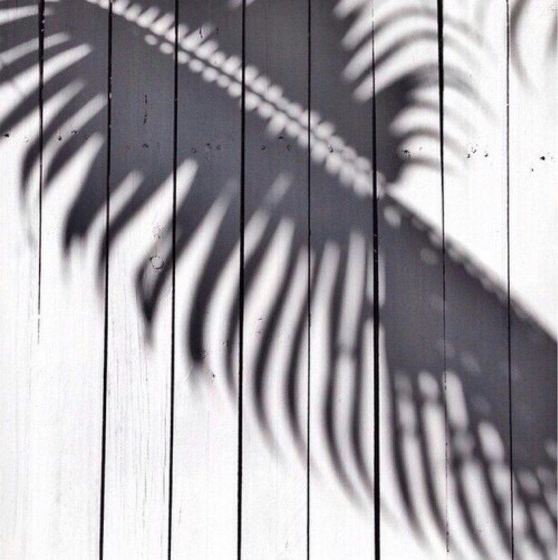 Светлая Эстетика