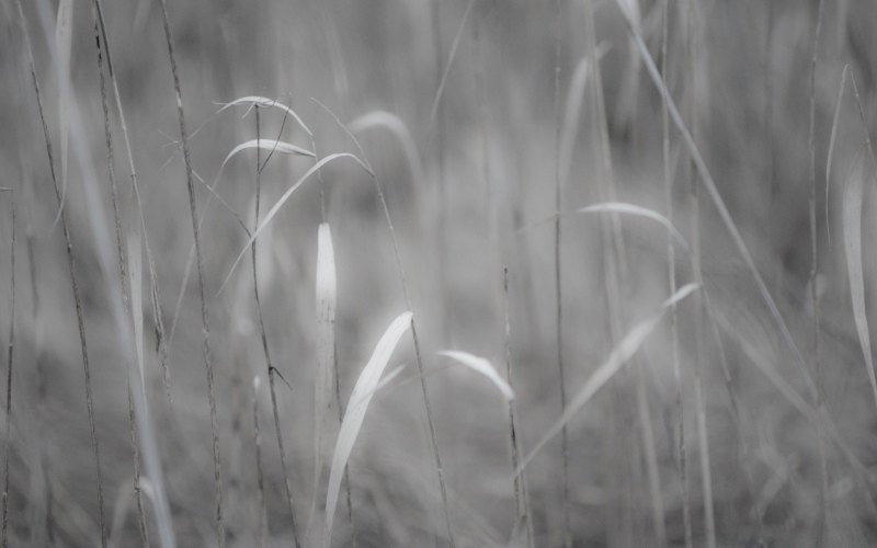 Серый эстетичный фон