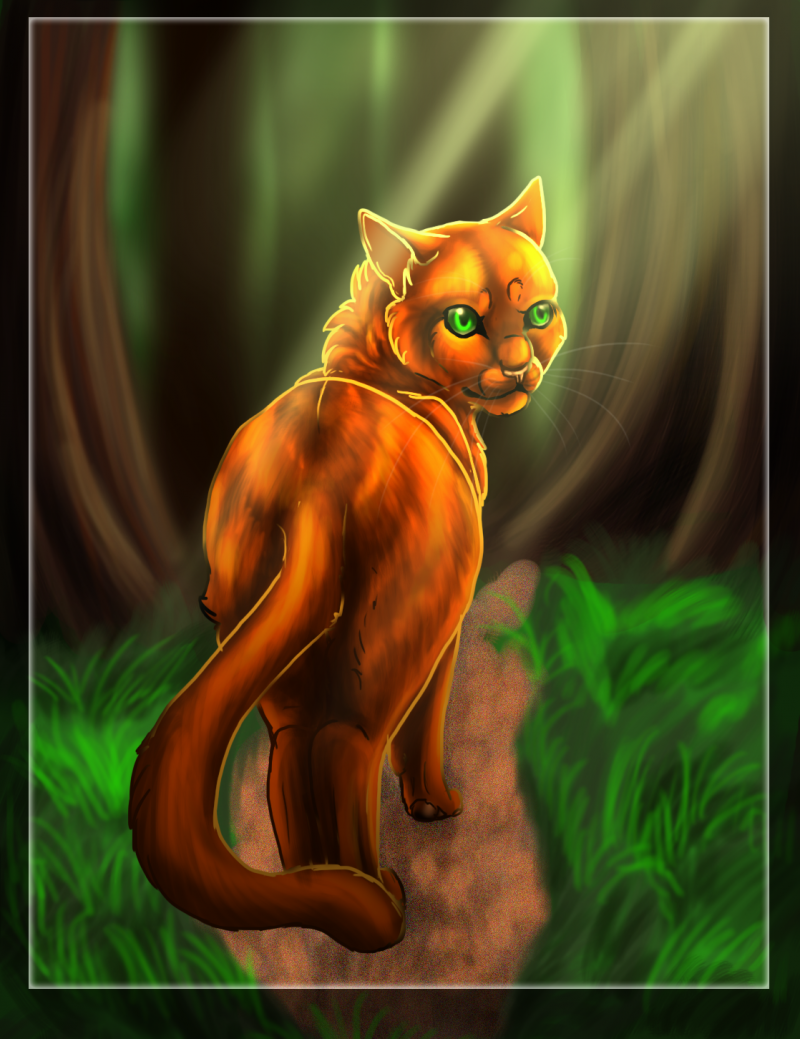 Коты Воители Огнезвёзд