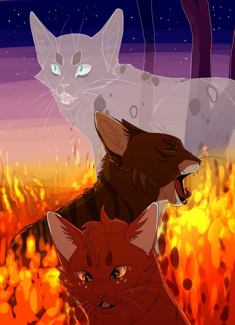 Коты Воители Warriors