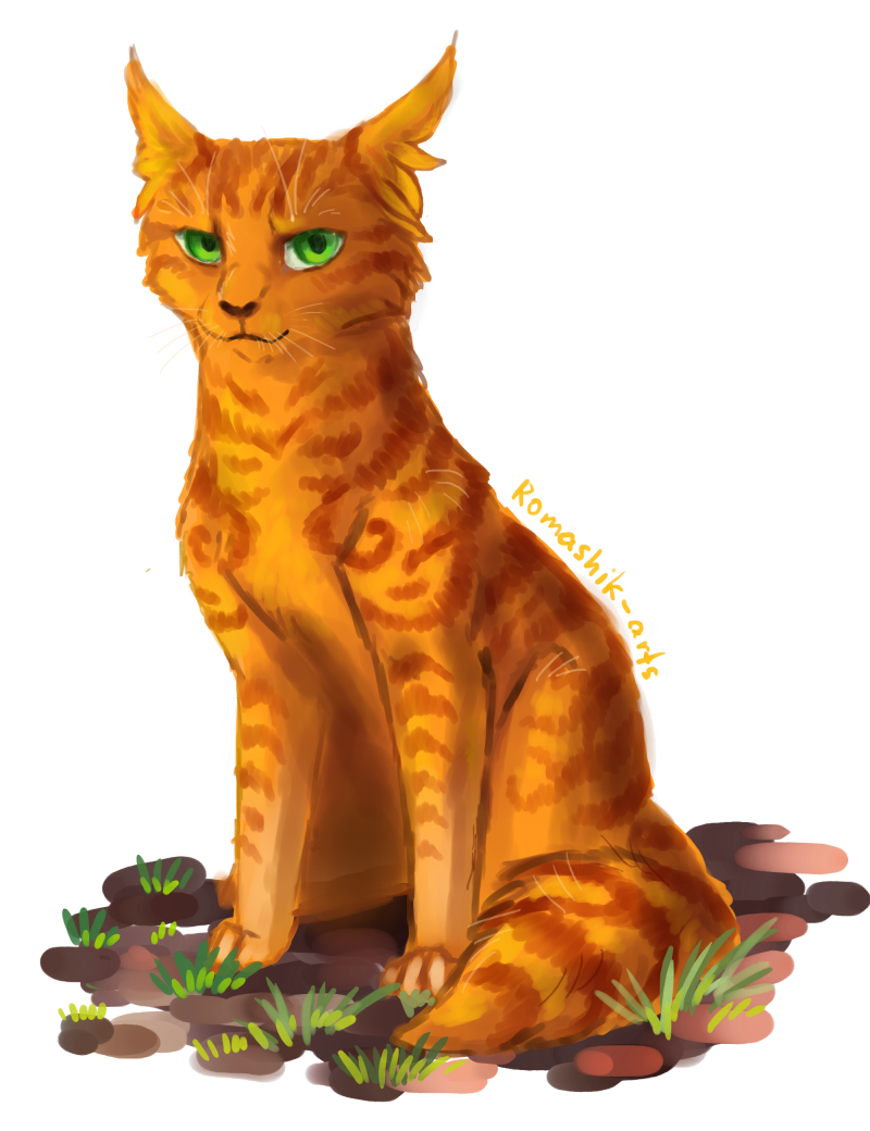 Коты Воители Огнезвезд