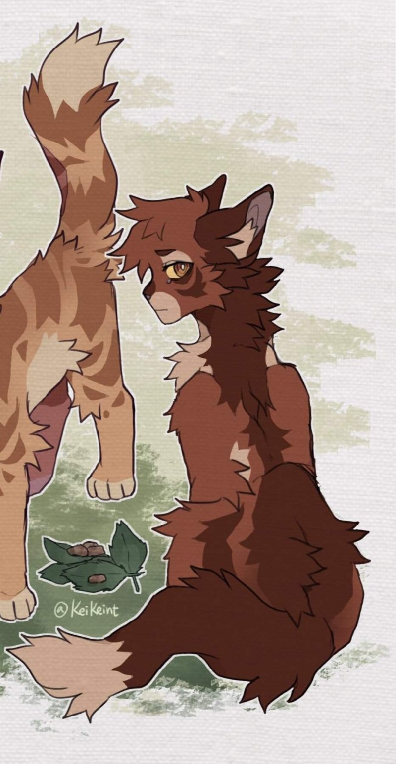 Коты Воители Огнесветик и Ольхогрив