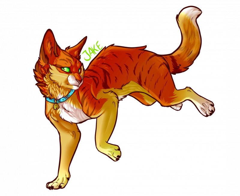 Кот арт коты Воители