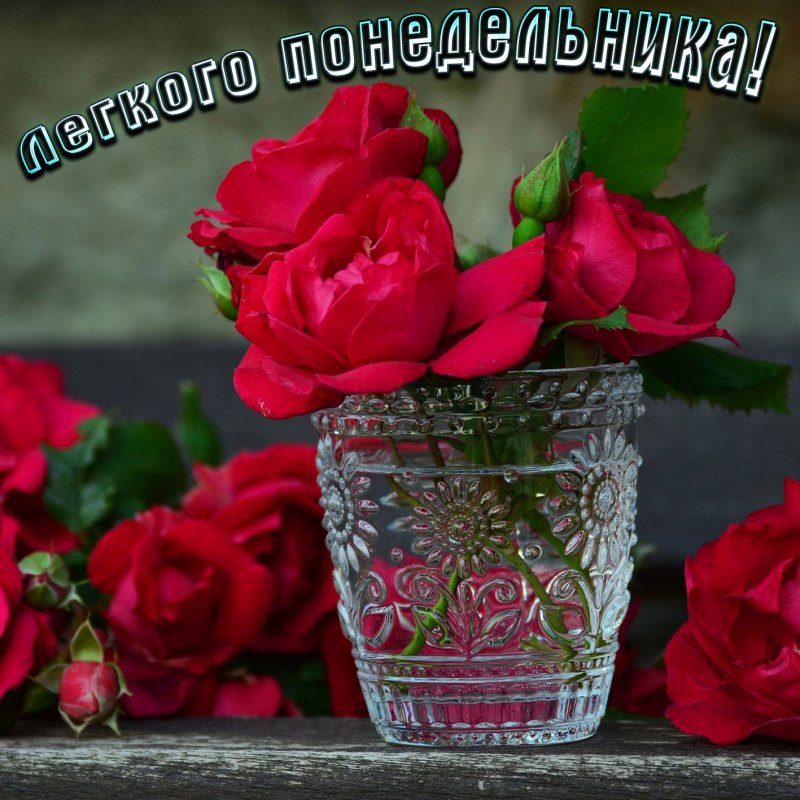 Открытки с добрым утром четверга