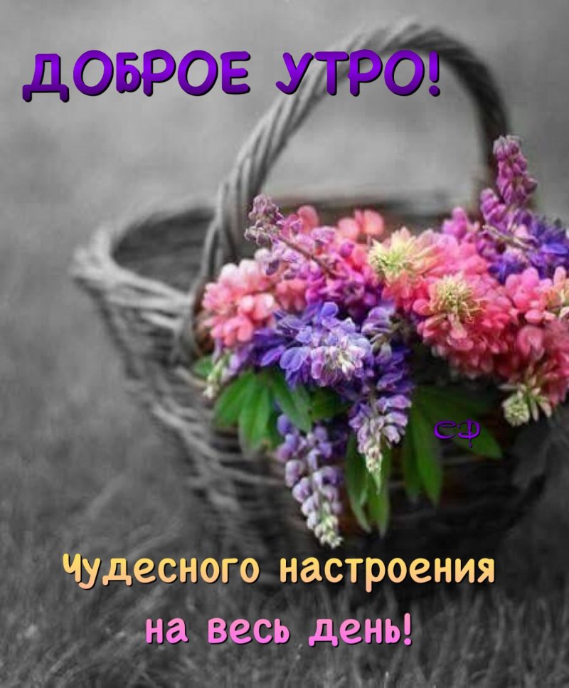 Открытки с добрым четвергом и хорошим настроением