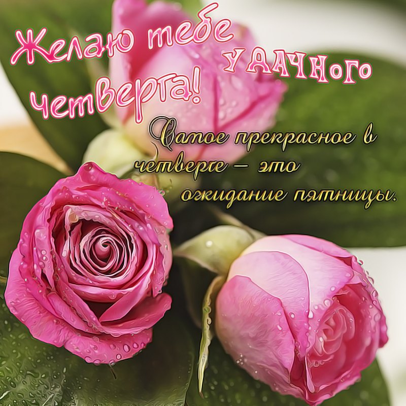 Открытки с наилучшими пожеланиями