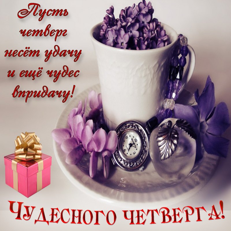 Цветы в чашке анимация