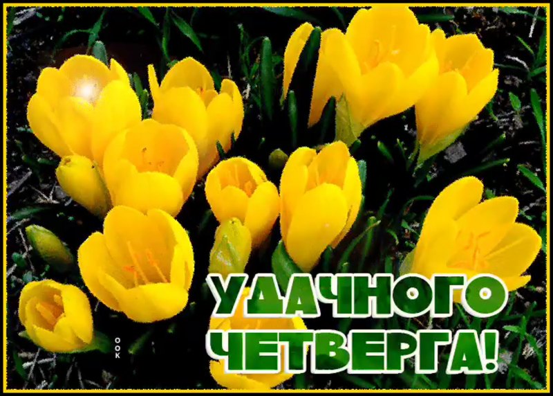 С добрым утром четверга