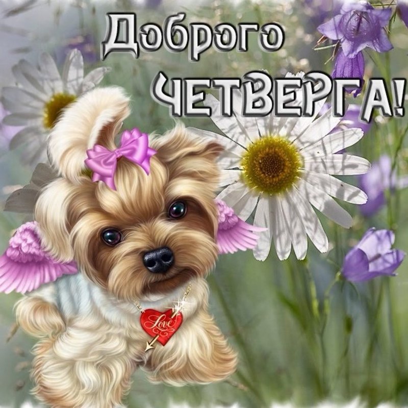 Пожелания на день