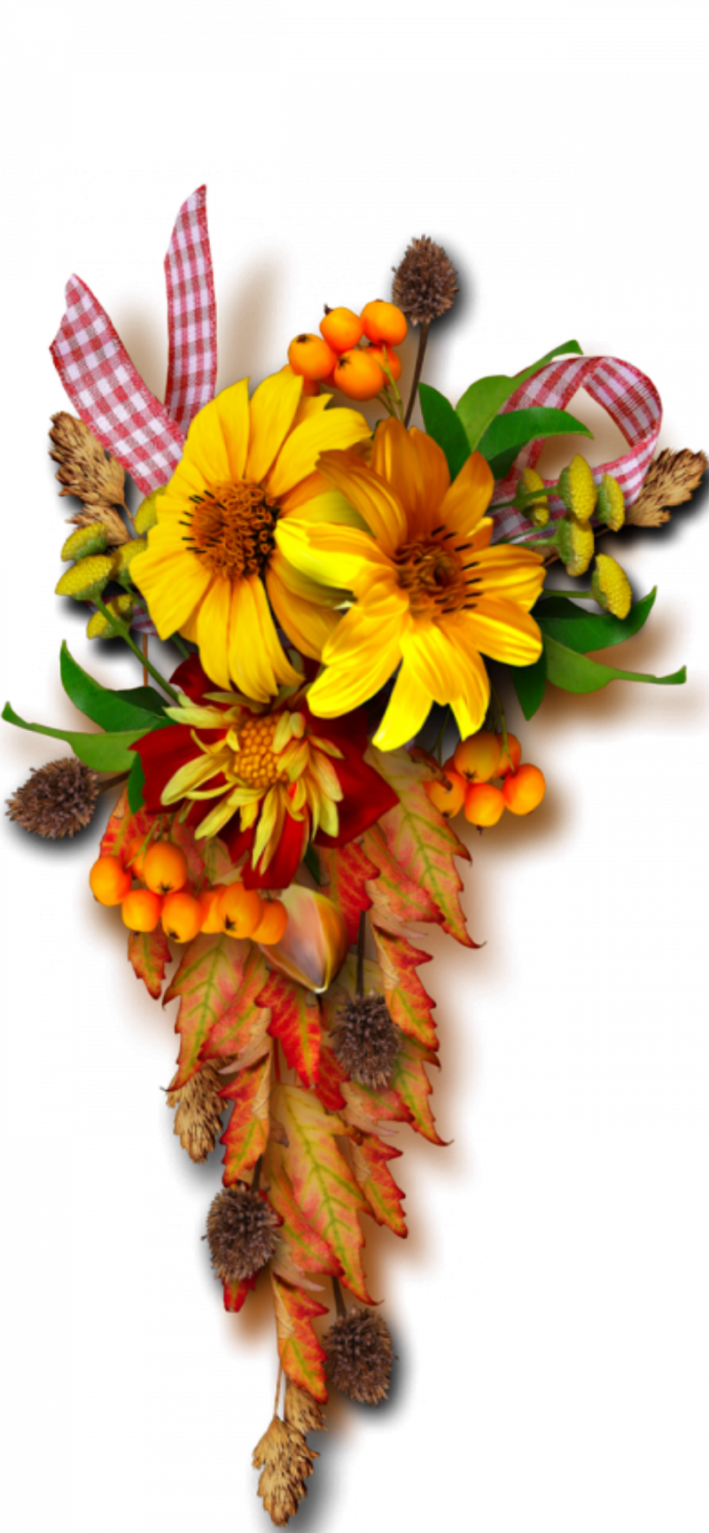 Осенние цветы
