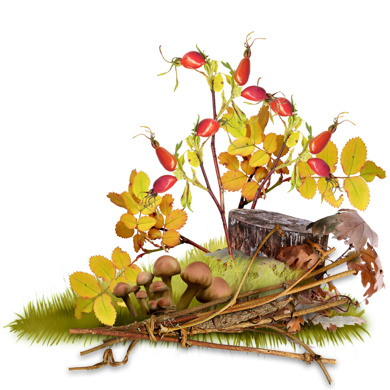 Осенний декор на прозрачном фоне
