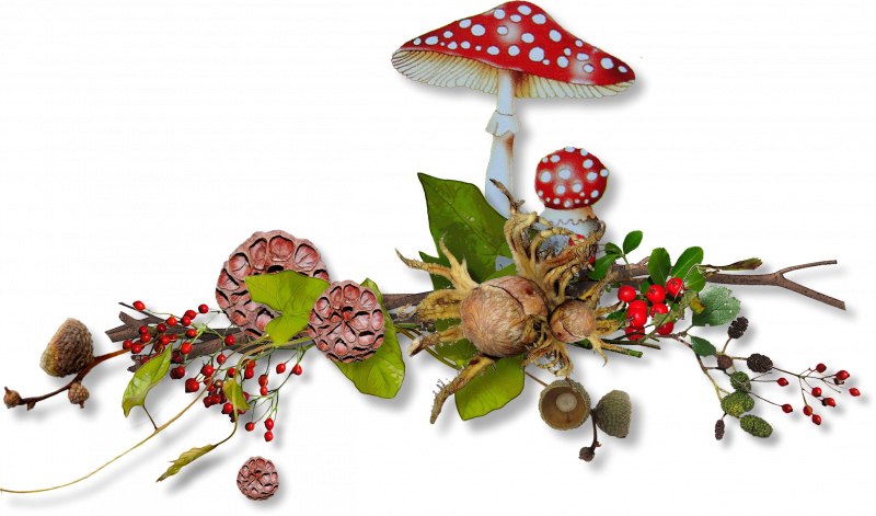 Осенний скрап набор распакованный