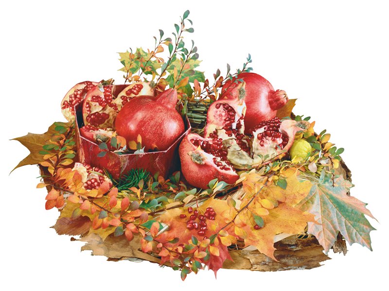 Осенний натюрморт на белом фоне