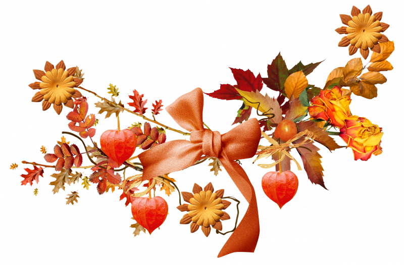 Букет осенних листьев на прозрачном фоне